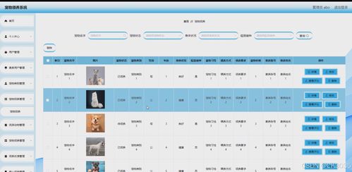 springboot計(jì)算機(jī)畢業(yè)設(shè)計(jì)寵物領(lǐng)養(yǎng)系統(tǒng) 程序 源碼 數(shù)據(jù)庫